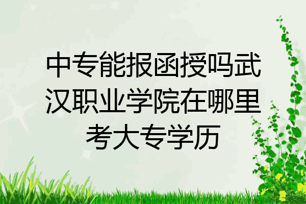 中专能报函授吗武汉职业学院在哪里考大专学历