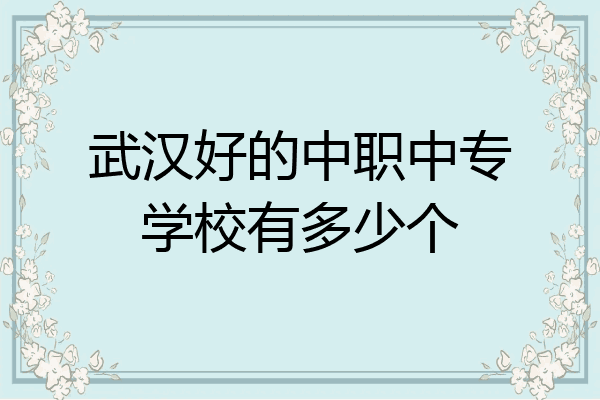 武汉好的中职中专学校有多少个