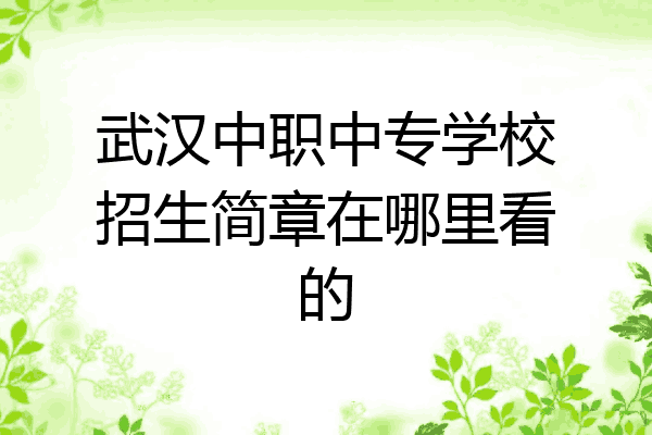 武汉中职中专学校招生简章在哪里看的