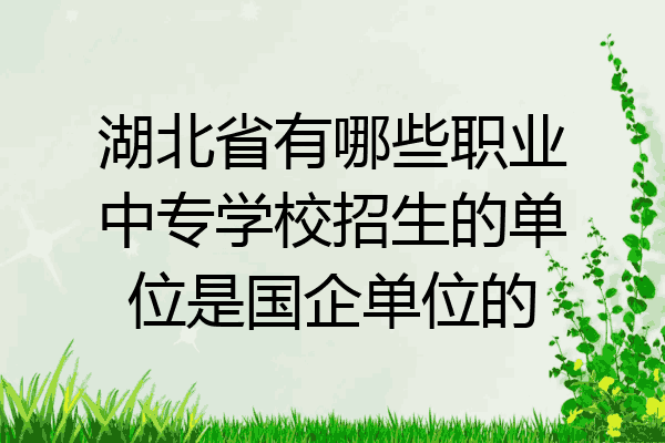 湖北省有哪些职业中专学校招生的单位是国企单位的