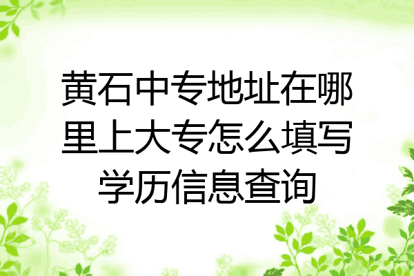 黄石中专地址在哪里上大专怎么填写学历信息查询