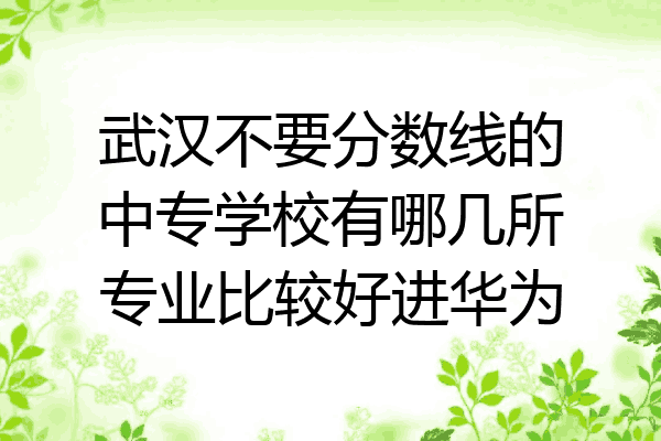 武汉不要分数线的中专学校有哪几所专业比较好进华为
