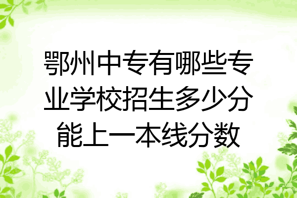 鄂州中专有哪些专业学校招生多少分能上一本线分数