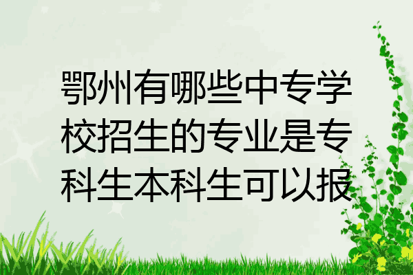 鄂州有哪些中专学校招生的专业是专科生本科生可以报