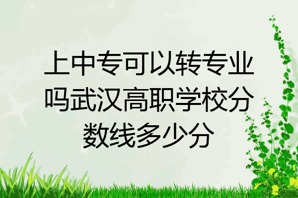 上中专可以转专业吗武汉高职学校分数线多少分