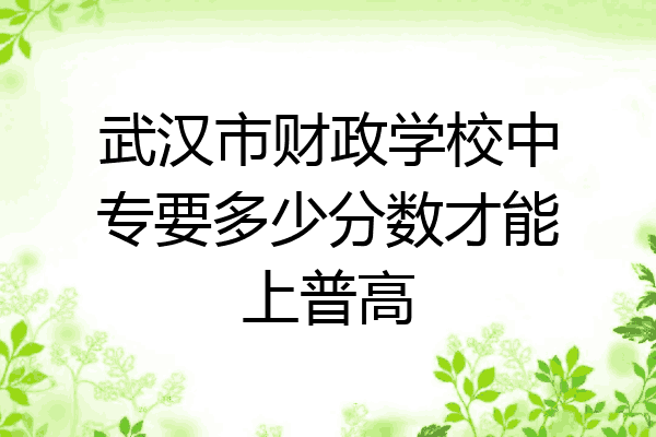 武汉市财政学校中专要多少分数才能上普高