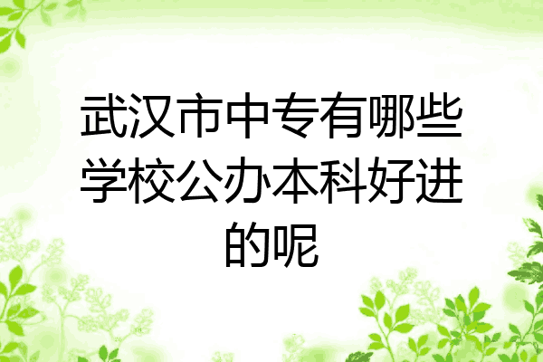 武汉市中专有哪些学校公办本科好进的呢