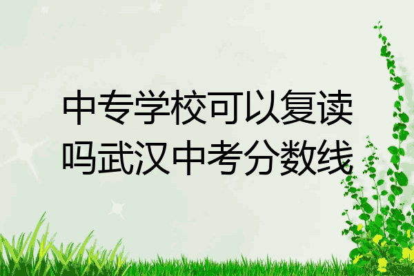 中专学校可以复读吗武汉中考分数线