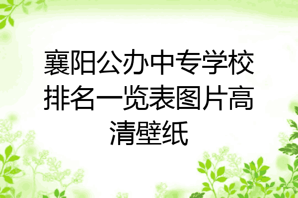 襄阳公办中专学校排名一览表图片高清壁纸