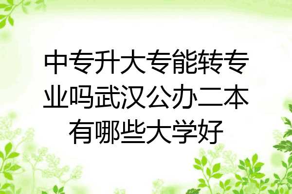 中专升大专能转专业吗武汉公办二本有哪些大学好