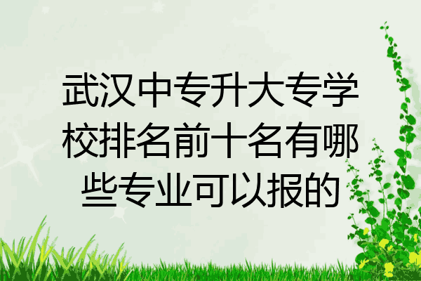 武汉中专升大专学校排名前十名有哪些专业可以报的