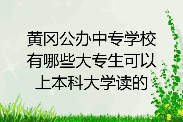 黄冈公办中专学校有哪些大专生可以上本科大学读的