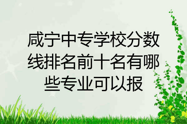 咸宁中专学校分数线排名前十名有哪些专业可以报