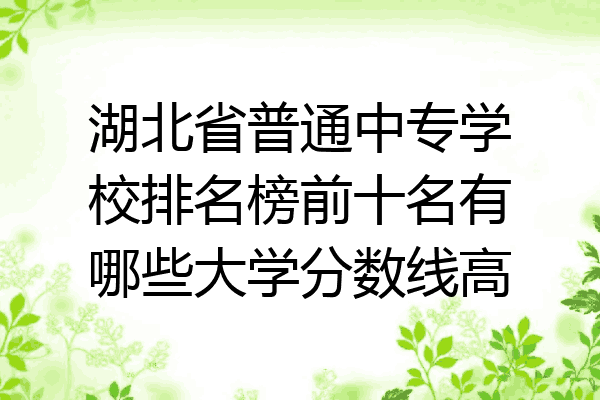 湖北省普通中专学校排名榜前十名有哪些大学分数线高