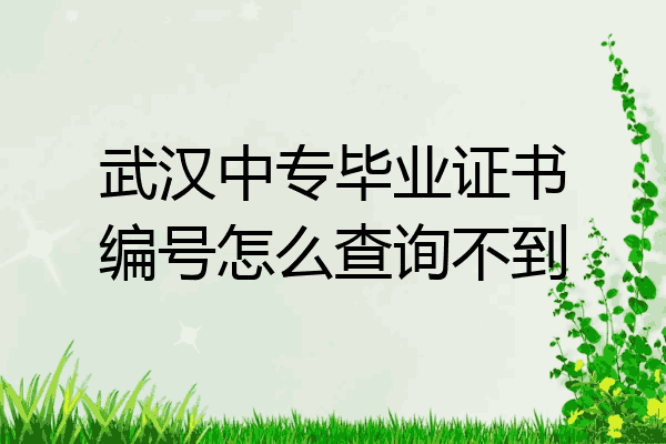 武汉中专毕业证书编号怎么查询不到
