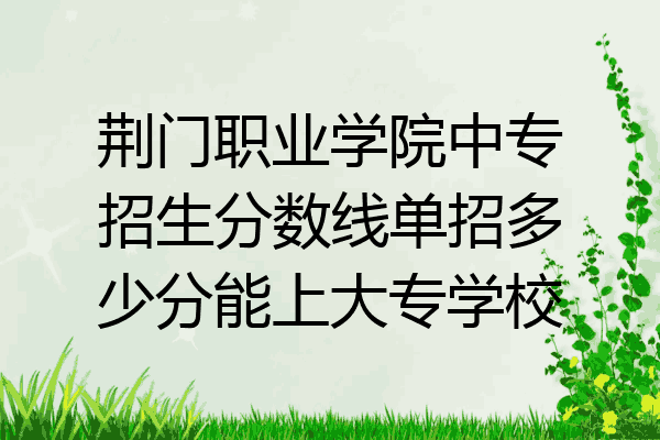 荆门职业学院中专招生分数线单招多少分能上大专学校