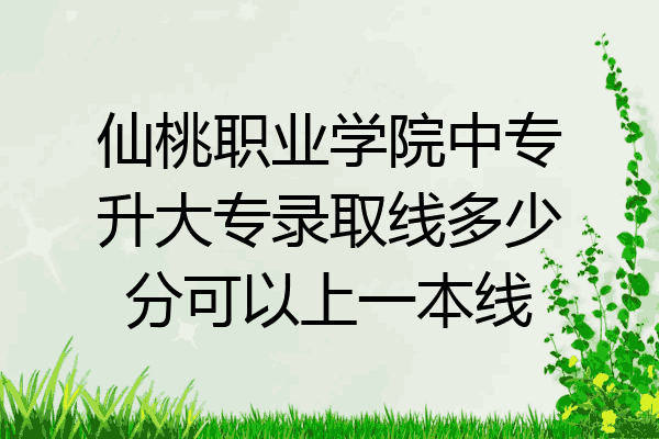 仙桃职业学院中专升大专录取线多少分可以上一本线