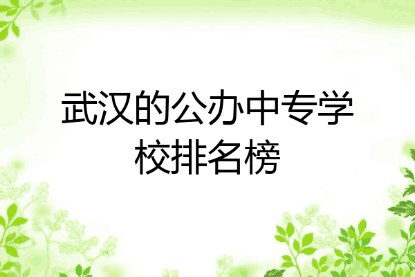武汉的公办中专学校排名榜