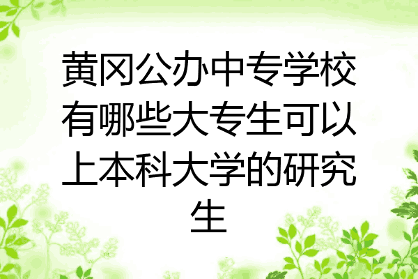 黄冈公办中专学校有哪些大专生可以上本科大学的研究生