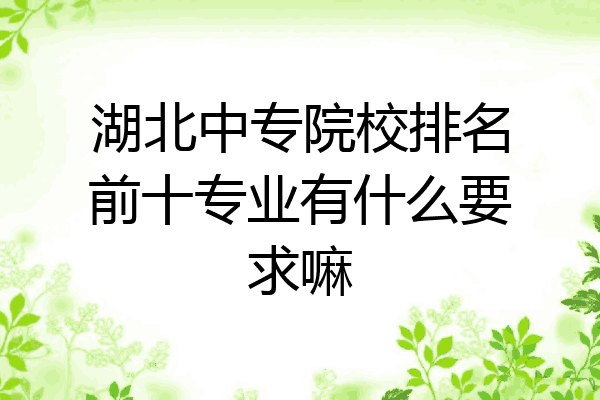 湖北中专院校排名前十专业有什么要求嘛