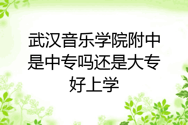 武汉音乐学院附中是中专吗还是大专好上学