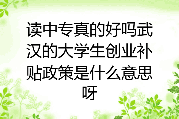 读中专真的好吗武汉的大学生创业补贴政策是什么意思呀