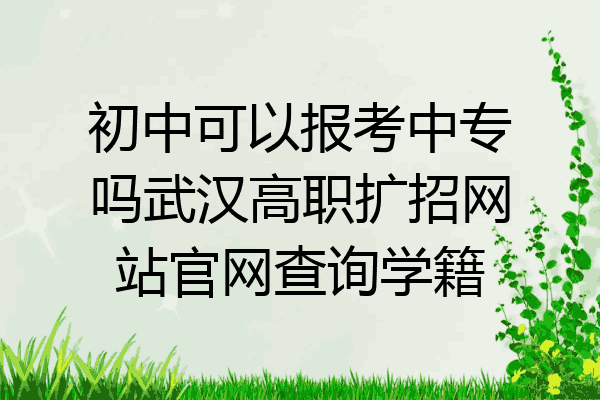 初中可以报考中专吗武汉高职扩招网站官网查询学籍