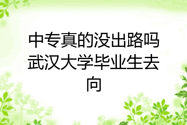 中专真的没出路吗武汉大学毕业生去向