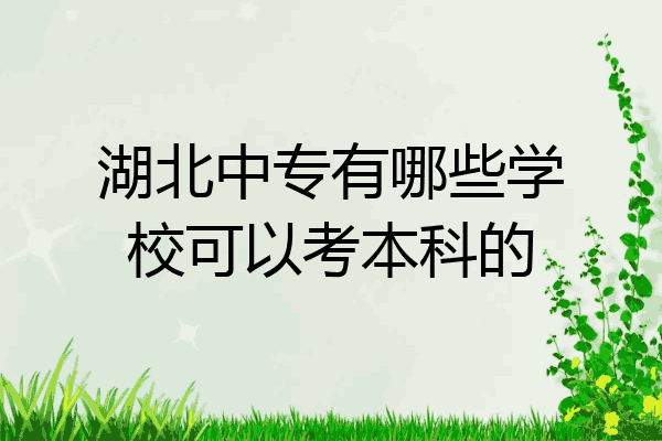 湖北中专有哪些学校可以考本科的