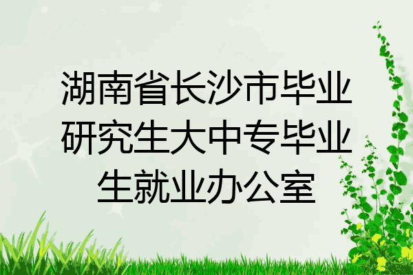 湖南省长沙市毕业研究生大中专毕业生就业办公室