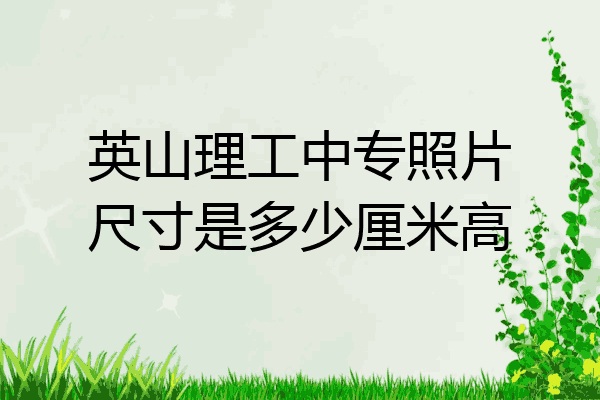 英山理工中专照片尺寸是多少厘米高