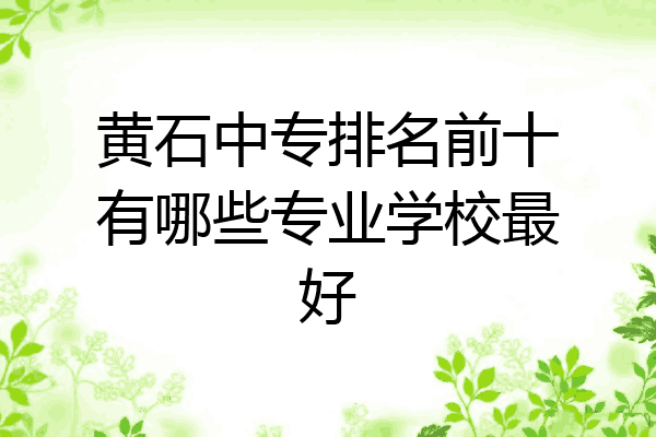 黄石中专排名前十有哪些专业学校最好