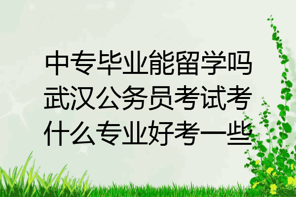 中专毕业能留学吗武汉公务员考试考什么专业好考一些