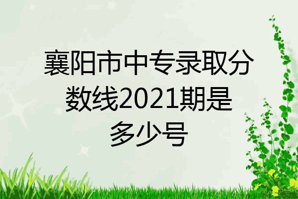 襄阳市中专录取分数线2021期是多少号