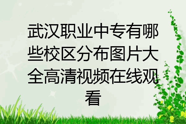 武汉职业中专有哪些校区分布图片大全高清视频在线观看