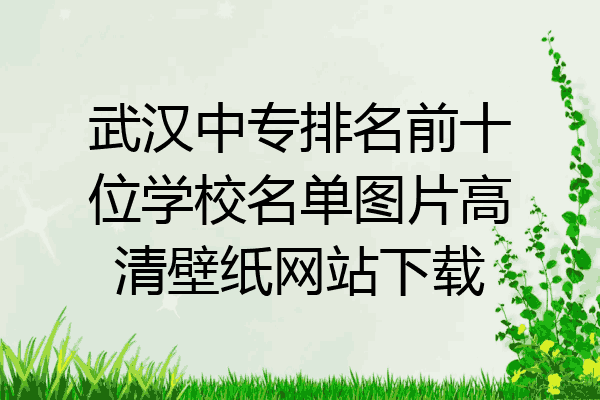 武汉中专排名前十位学校名单图片高清壁纸网站下载
