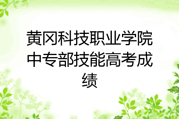 黄冈科技职业学院中专部技能高考成绩