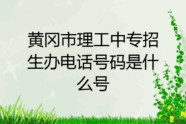 黄冈市理工中专招生办电话号码是什么号