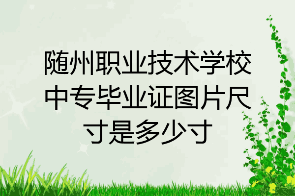 随州职业技术学校中专毕业证图片尺寸是多少寸