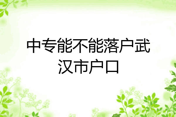 中专能不能落户武汉市户口