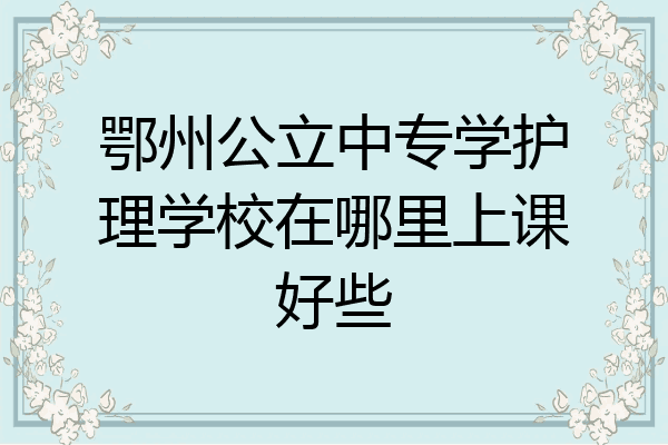 鄂州公立中专学护理学校在哪里上课好些
