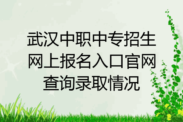武汉中职中专招生网上报名入口官网查询录取情况