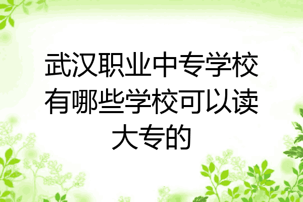 武汉职业中专学校有哪些学校可以读大专的
