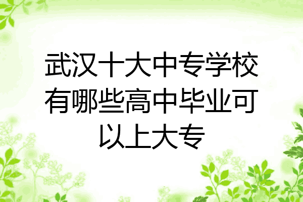 武汉十大中专学校有哪些高中毕业可以上大专