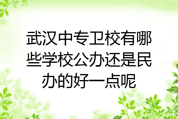武汉中专卫校有哪些学校公办还是民办的好一点呢
