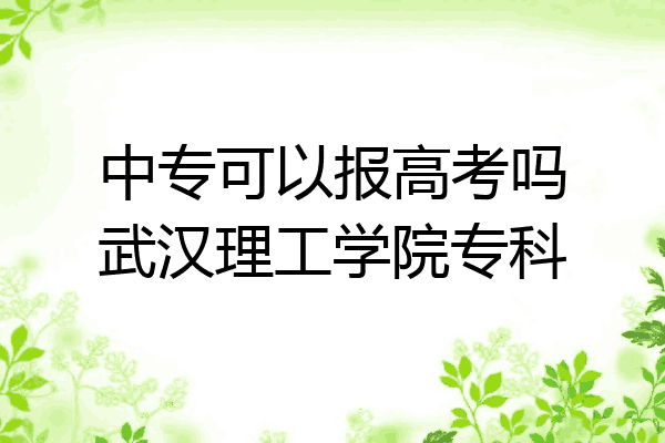 中专可以报高考吗武汉理工学院专科