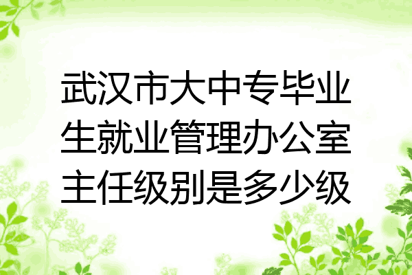 武汉市大中专毕业生就业管理办公室主任级别是多少级