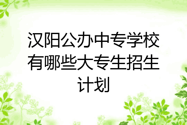 汉阳公办中专学校有哪些大专生招生计划