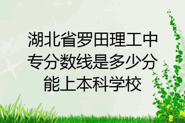 湖北省罗田理工中专分数线是多少分能上本科学校