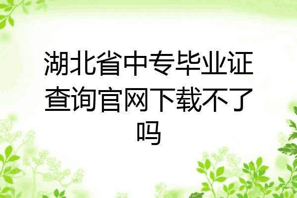 湖北省中专毕业证查询官网下载不了吗